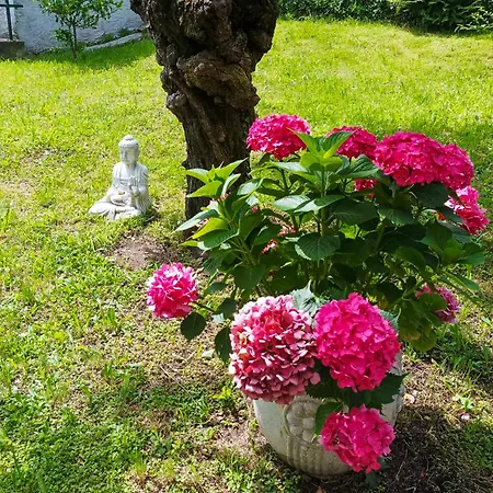 度假居 Tre Terre Pianello Del Lario